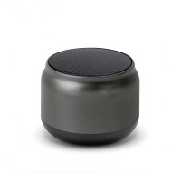 SPK-45-FM Bluetooth Speaker