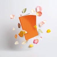 İstinye-T Tarihsiz Defter